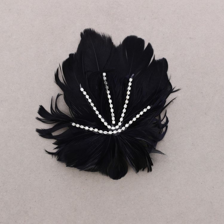 BROCHE PLUMAS CRISTALES