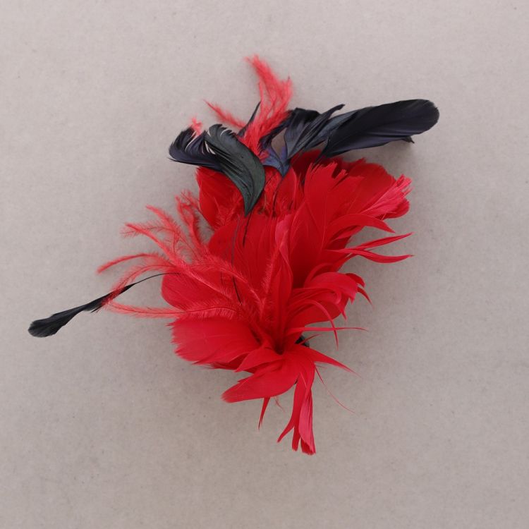 BROCHE PLUMAS DOBLE USO