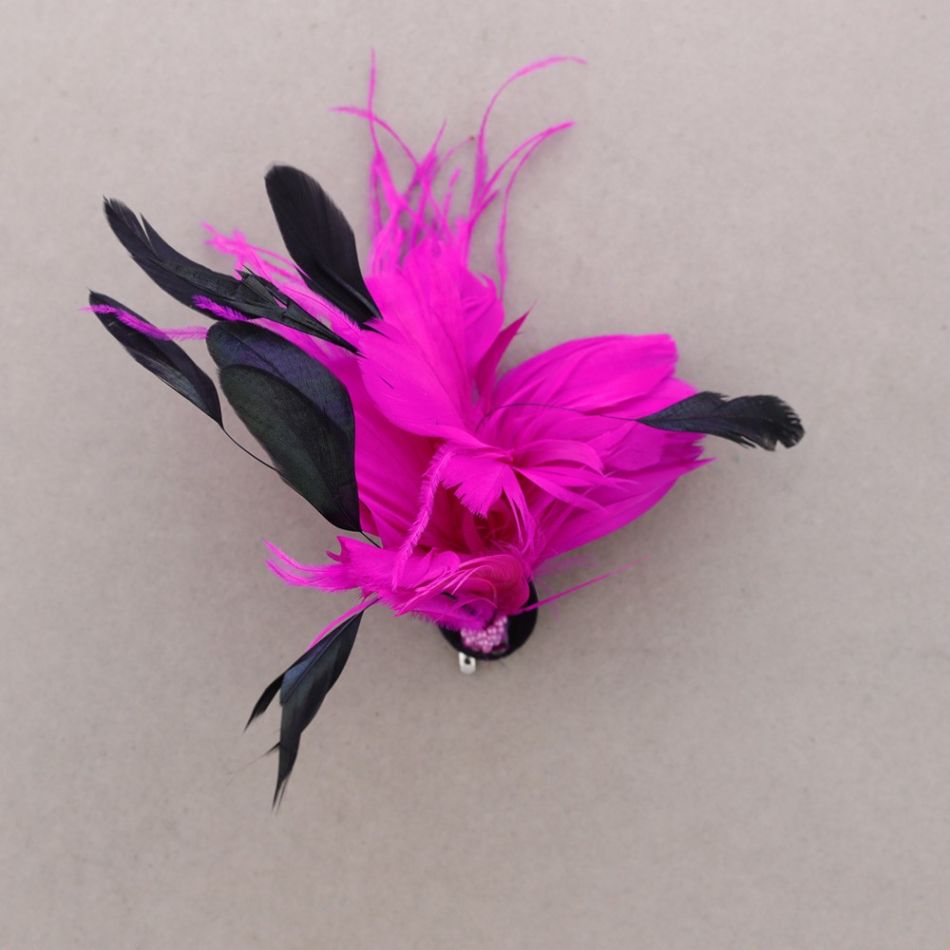 BROCHE PLUMAS DOBLE USO