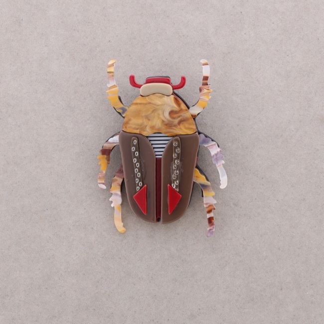 BROCHE INSECTO RESINA