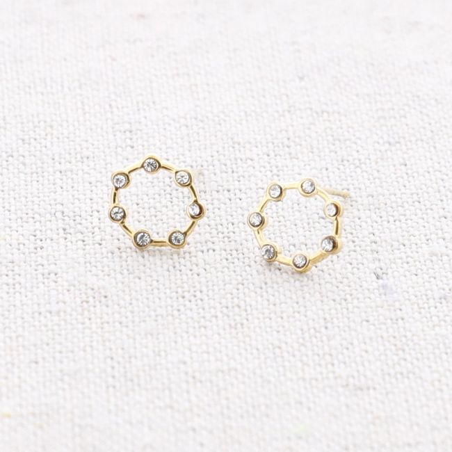 CRYSTAL RING STEEL EARRINGS
