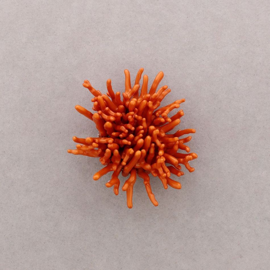 BROCHE FLOR CORAL RESINA