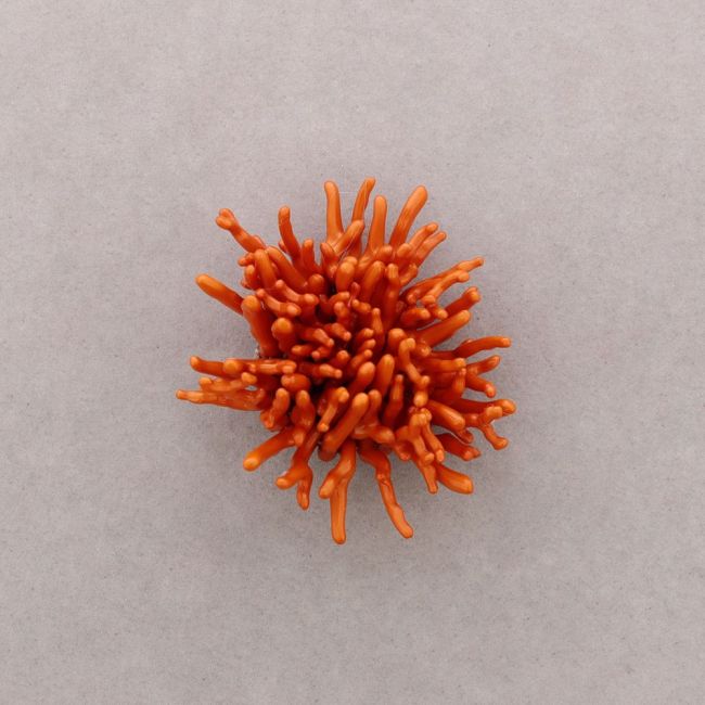 BROCHE FLOR CORAL RESINA