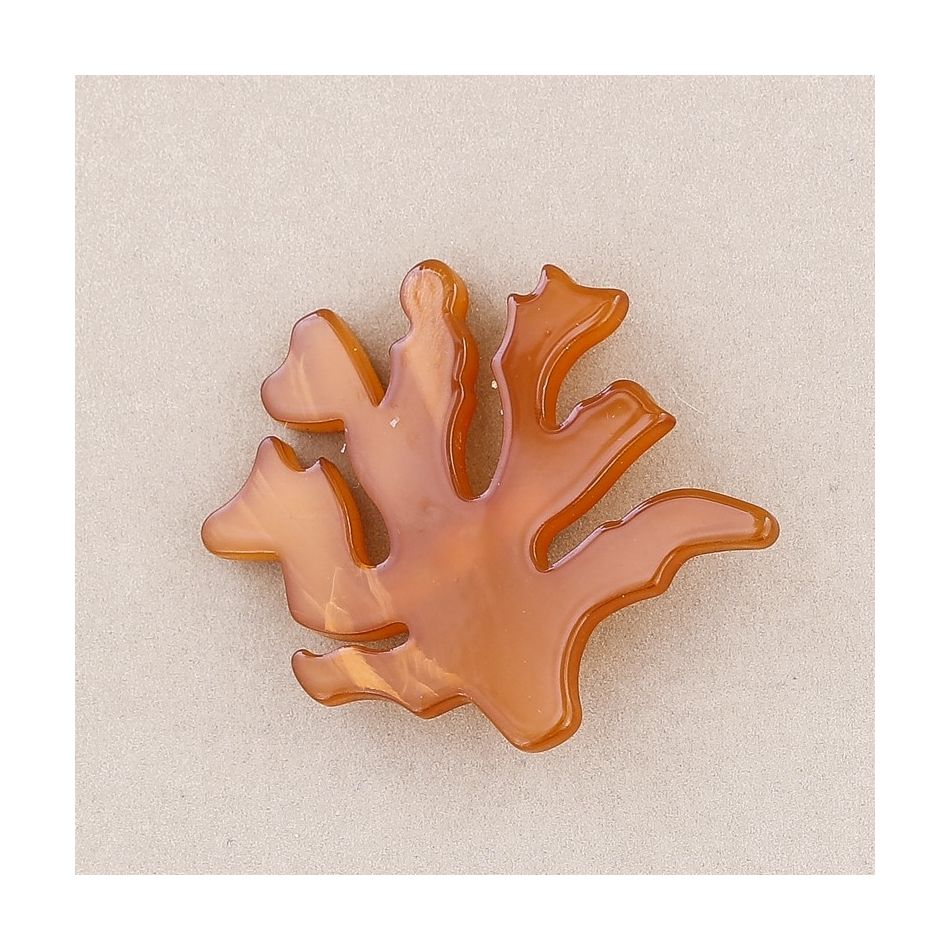 BROCHE CORAL RESINA