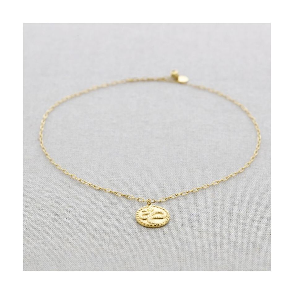 STEEL CHOKER WITH SNAKE MEDAL
