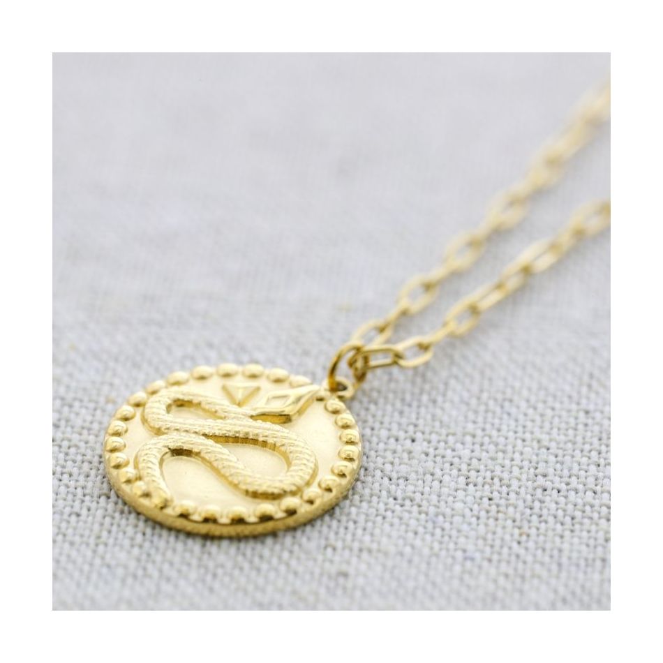 STEEL CHOKER WITH SNAKE MEDAL