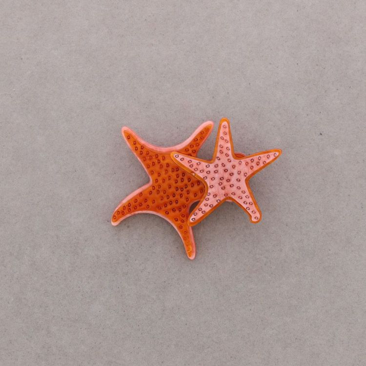 BROCHE DOBLE ESTRELLA DE MAR RESINA