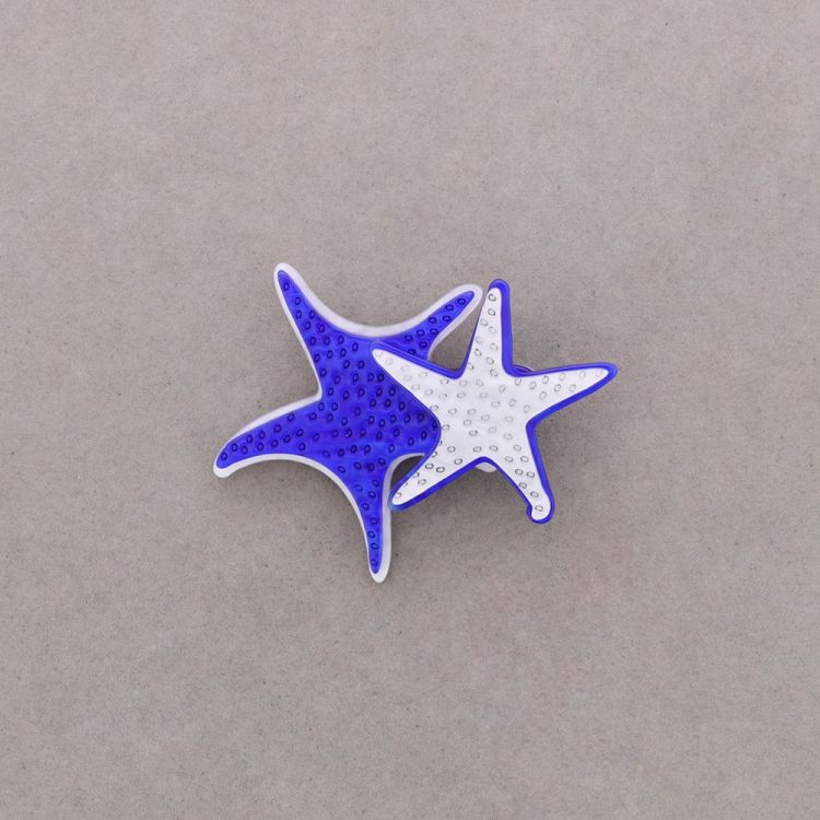 BROCHE DOBLE ESTRELLA DE MAR RESINA 2