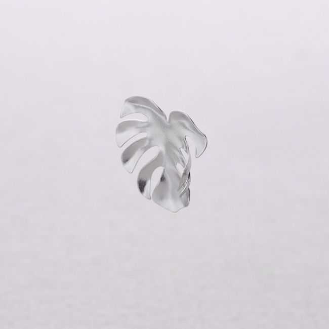 STEEL EARRINGS WITH CHEESE PLANT LEAF