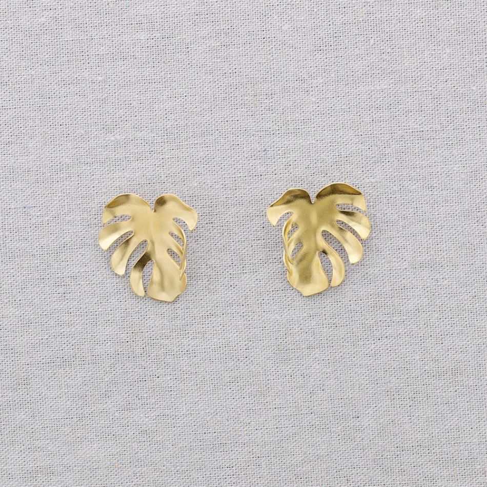 STEEL EARRINGS WITH CHEESE PLANT LEAF
