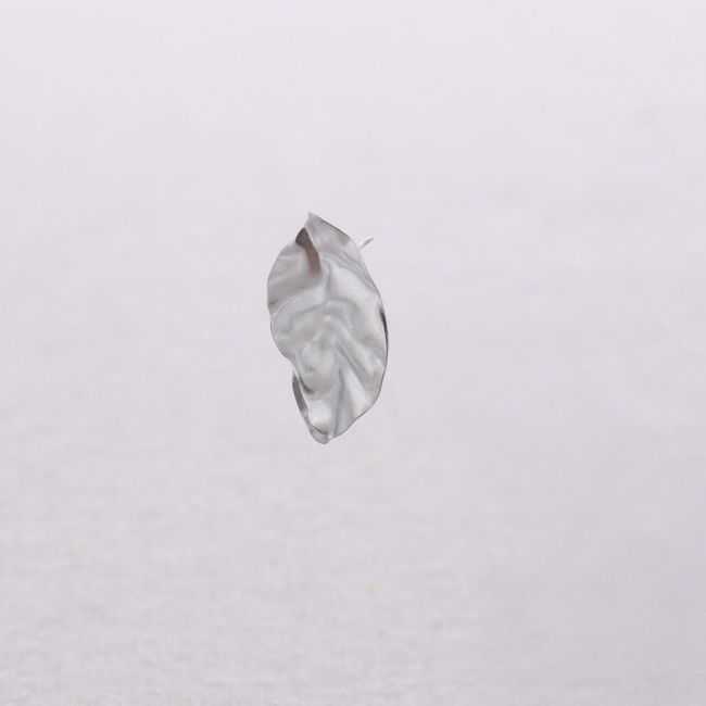STEEL LEAF EARRINGS