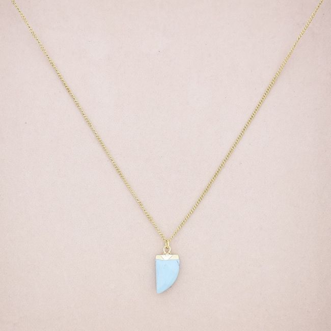 STONE HORN PENDANT STEEL NECKLACE