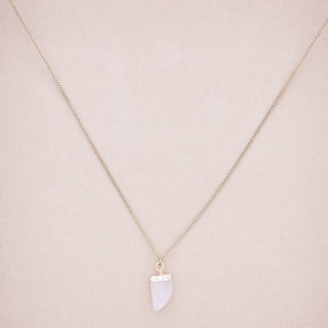 STONE HORN PENDANT STEEL NECKLACE