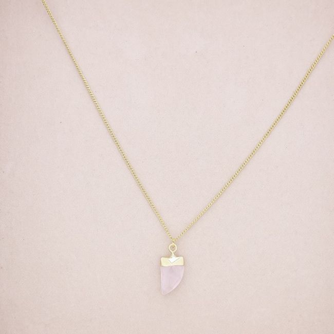 STONE HORN PENDANT STEEL NECKLACE