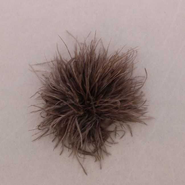 BROCHE PLUMAS AVESTRUZ 8-10 CM