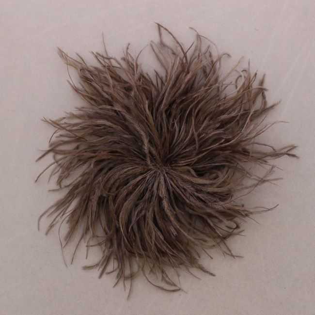 BROCHE PLUMAS AVESTRUZ 10-15CM