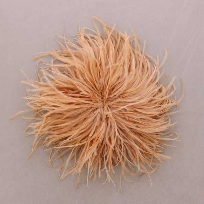 BROCHE PLUMAS AVESTRUZ 10-15CM
