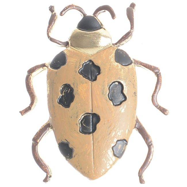 BROCHE INSECTO COLOR MATE