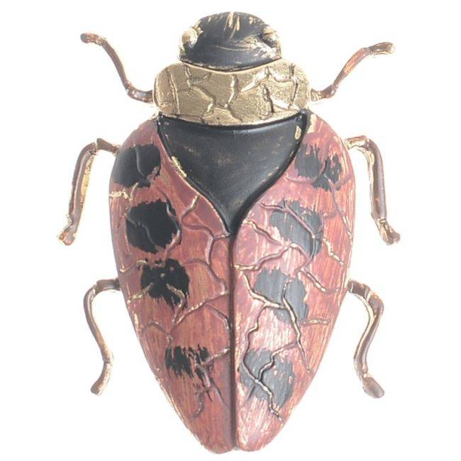 BROCHE INSECTO COLOR MATE