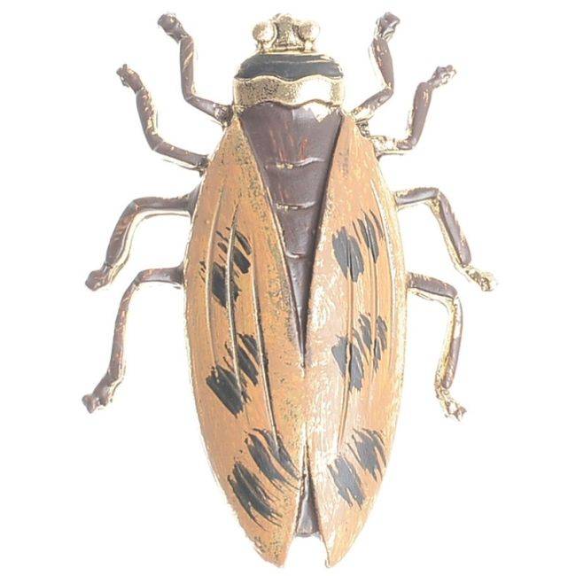 BROCHE INSECTO COLOR MATE