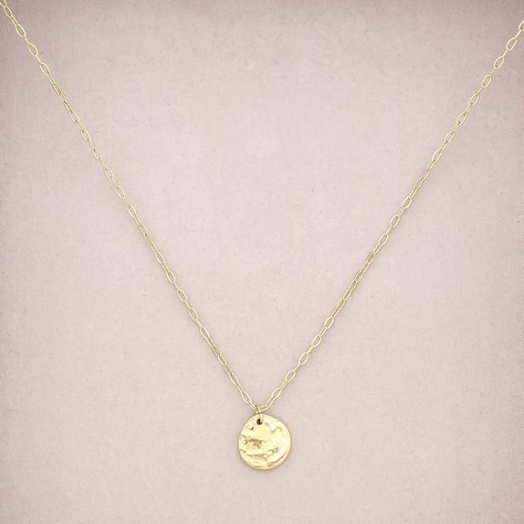 COLLAR ACERO COLGANTE MONEDA 2