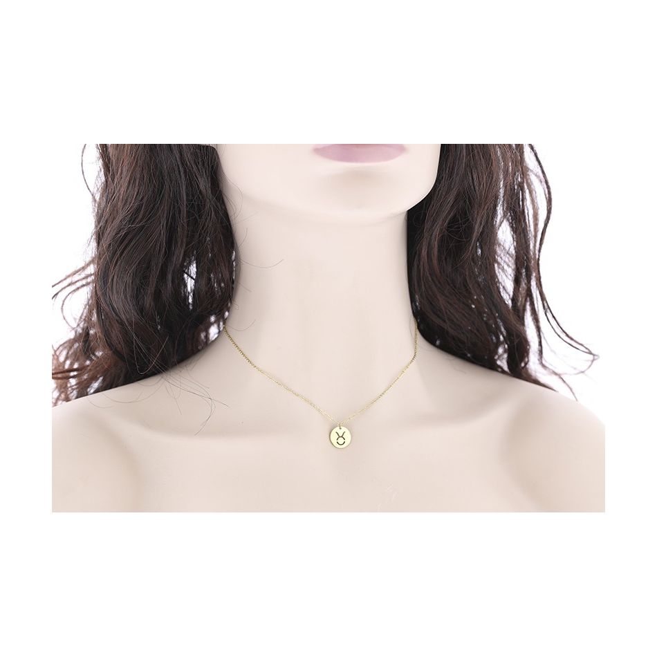 TAURO PLATE STEEL SHORT NECKLACE