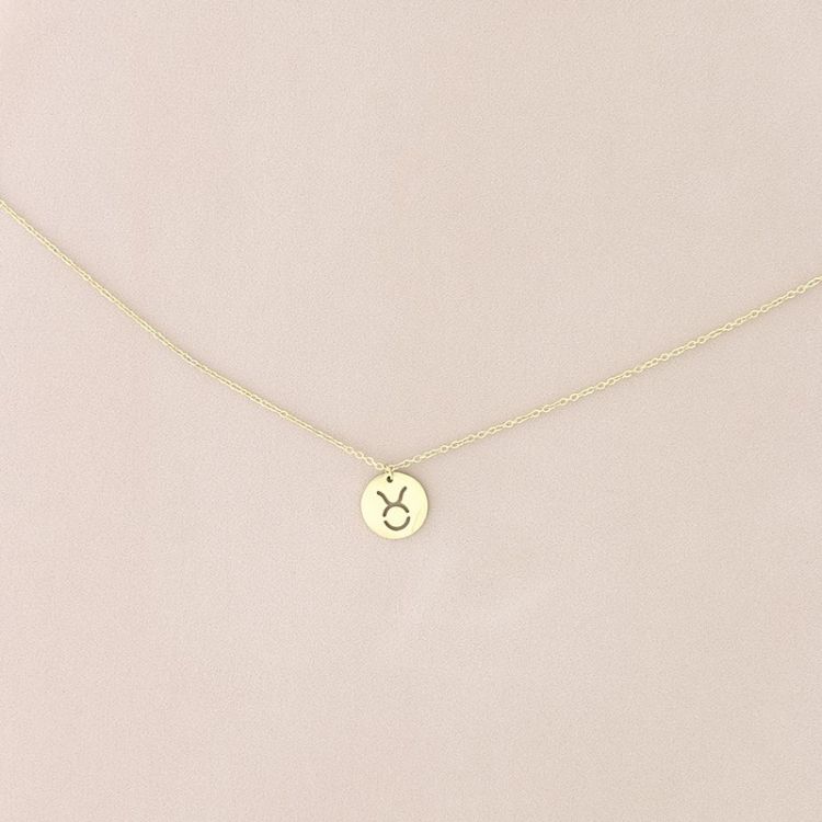 TAURO PLATE STEEL SHORT NECKLACE
