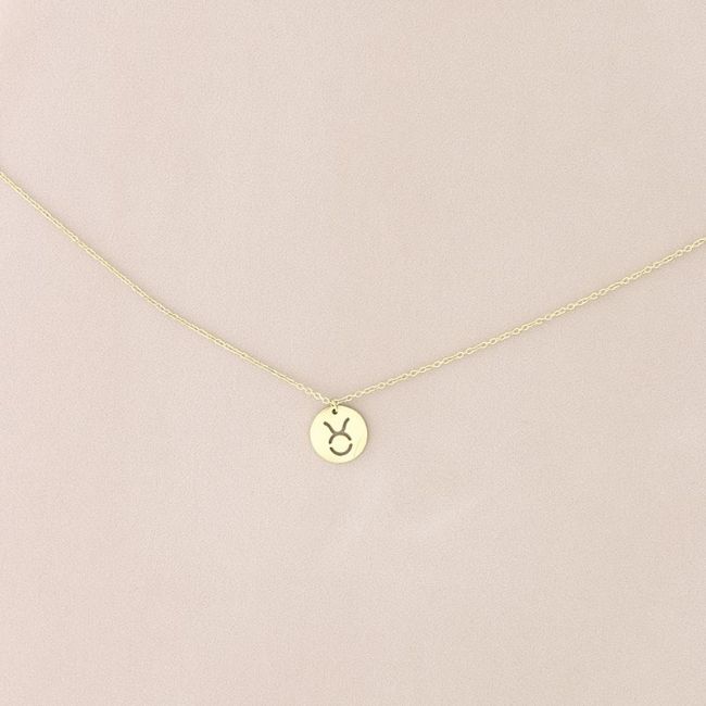 TAURO PLATE STEEL SHORT NECKLACE