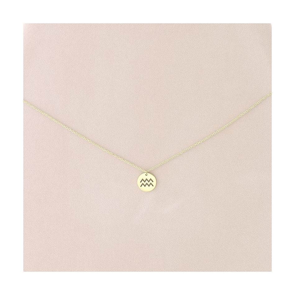 AQUARIUS PLATE STEEL SHORT NECKLACE
