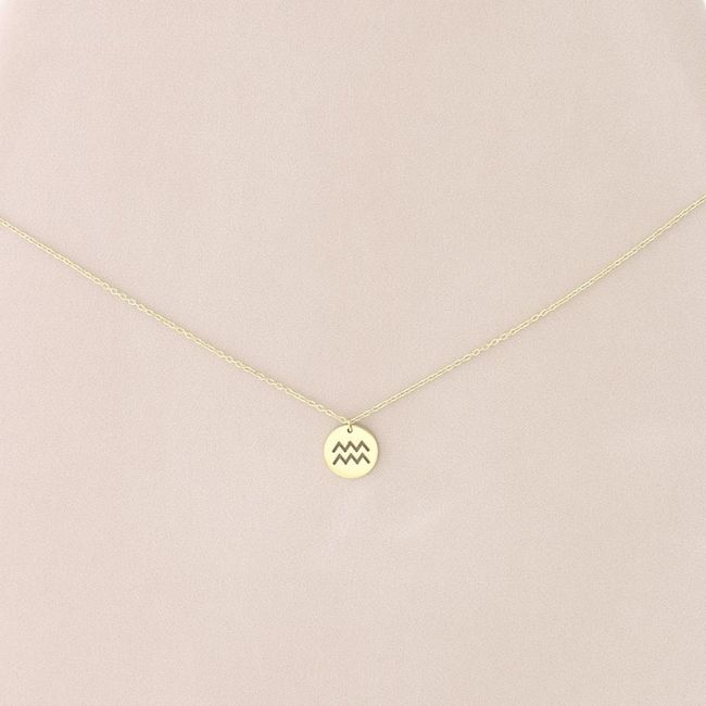AQUARIUS PLATE STEEL SHORT NECKLACE