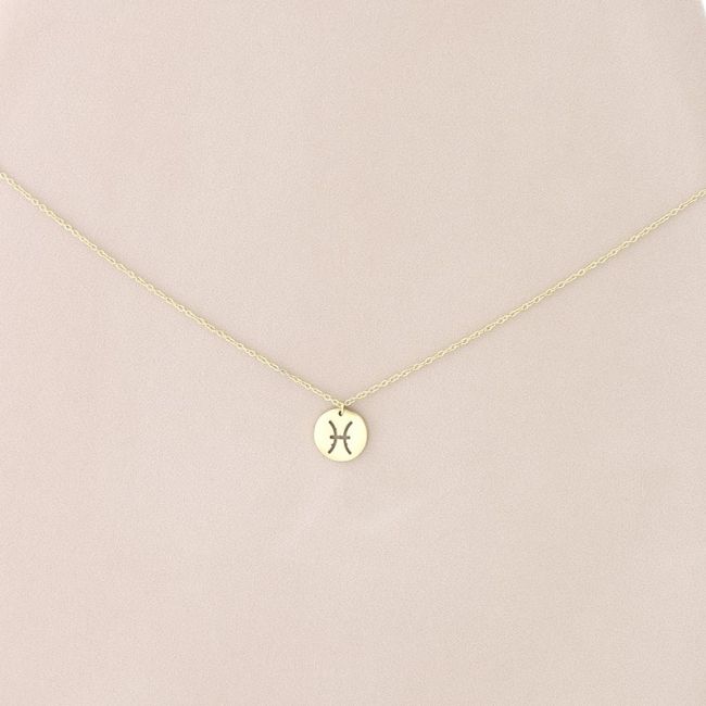 PISCES PLATE STEEL SHORT NECKLACE