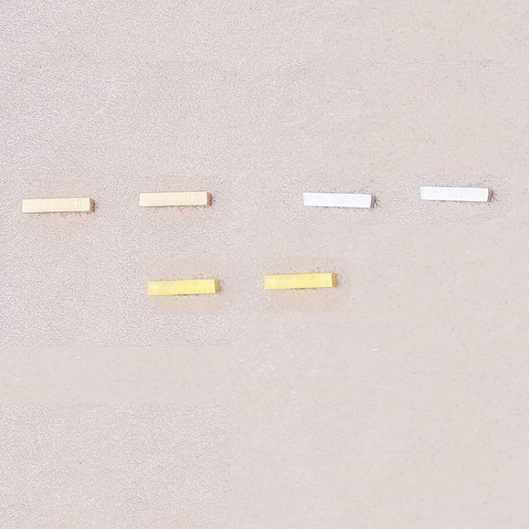 STEEL BAR EARRINGS 2