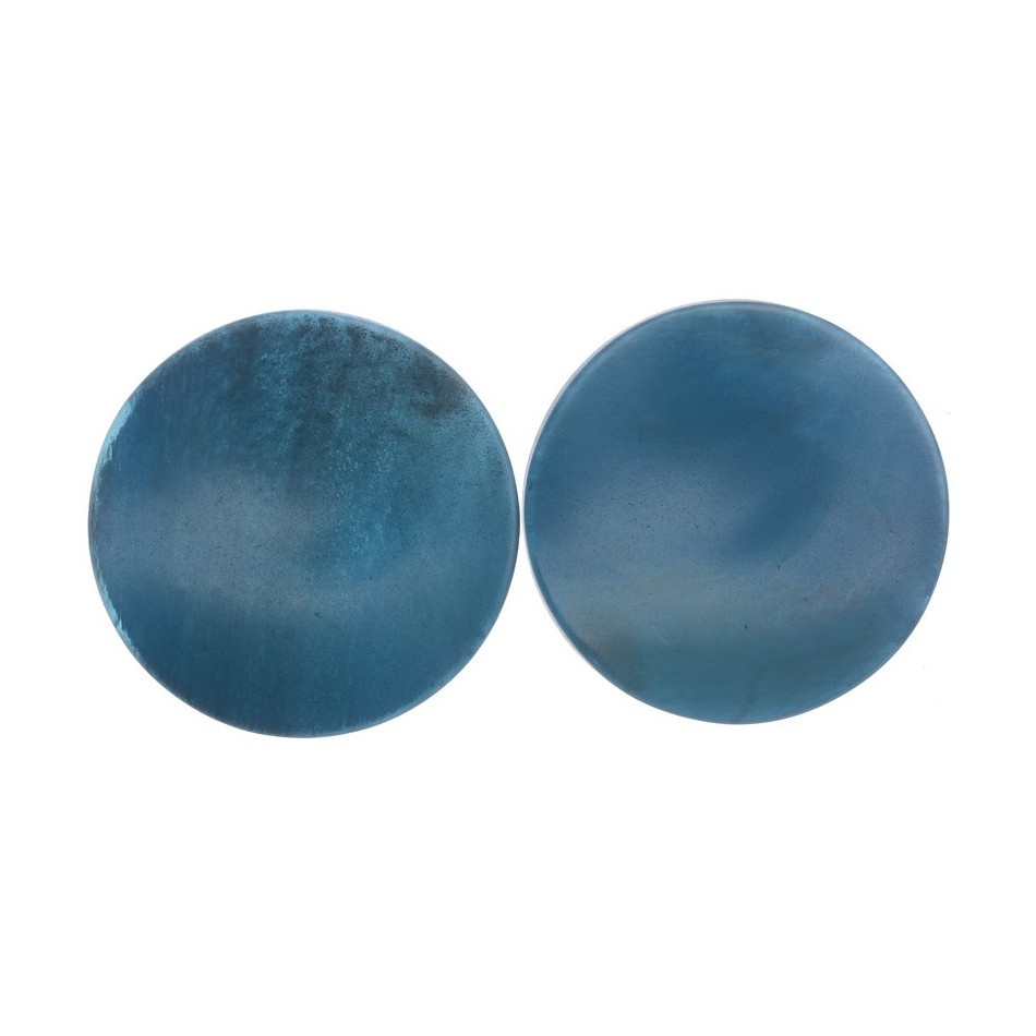 RESIN MEDAL EARRINGS