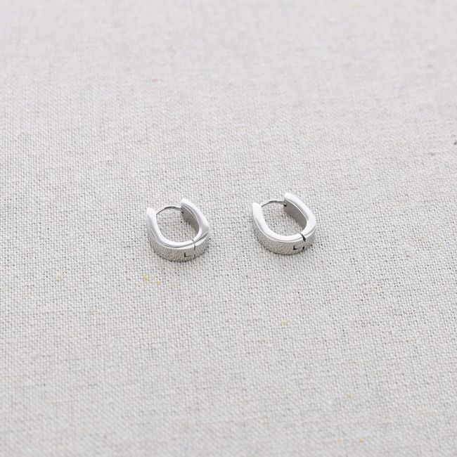 STAINLESS STEEL EARRINGS