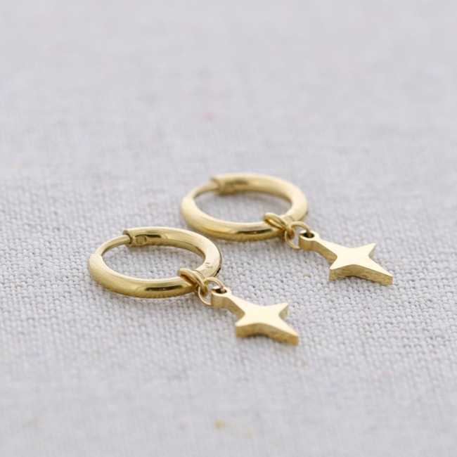 STEEL EARRINGS PENDANT POLAR STAR