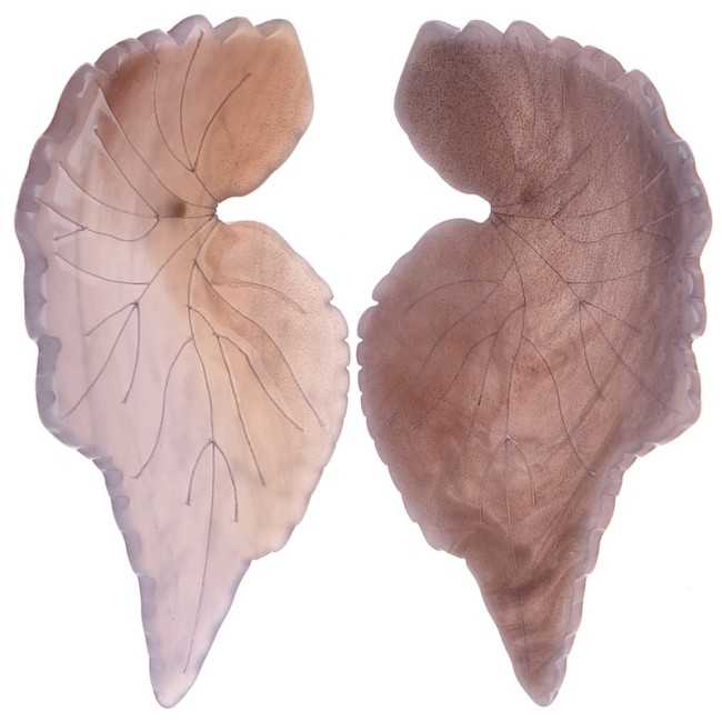 RESIN LEAF EARRINGS