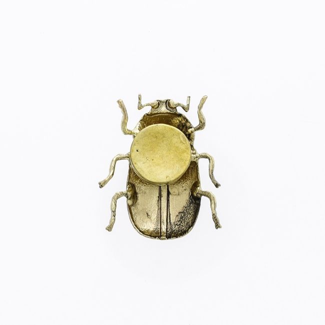 BROCHE IMÁN INSECTO METAL ESMALTE MATE