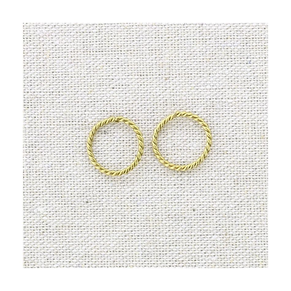 STAINLESS STEEL RING EARRINGS