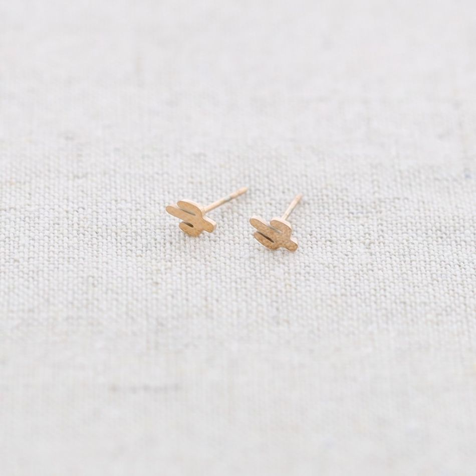PENDIENTES PRESIÓN ACERO CACTUS