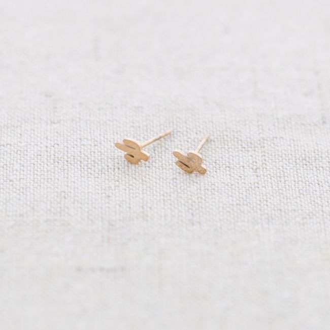PENDIENTES PRESIÓN ACERO CACTUS