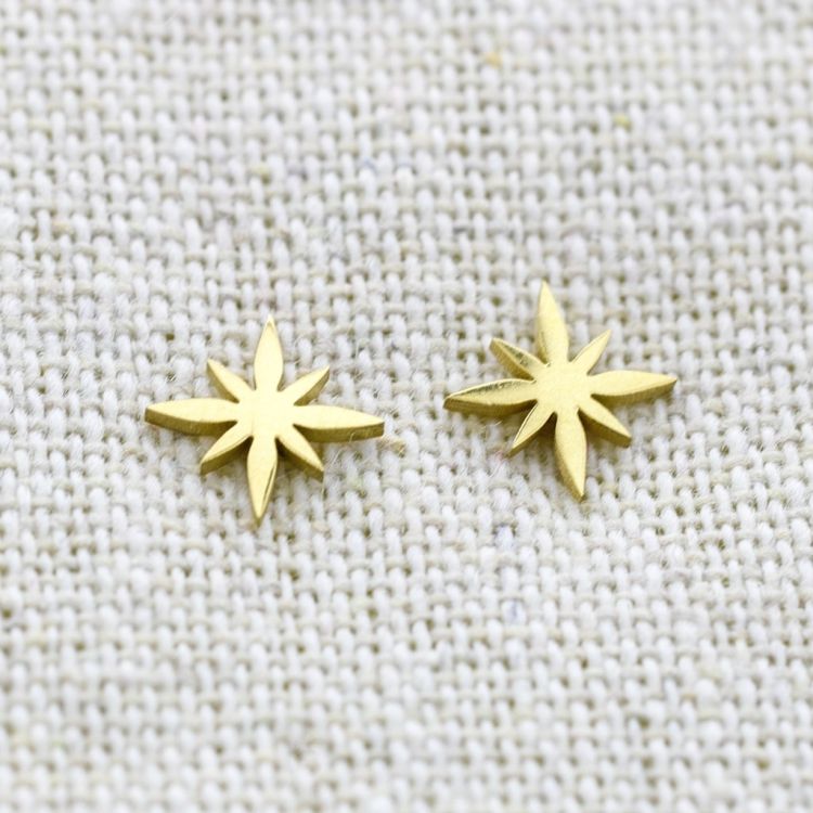 POLAR STAR STAINLESS STEEL EARRINGS