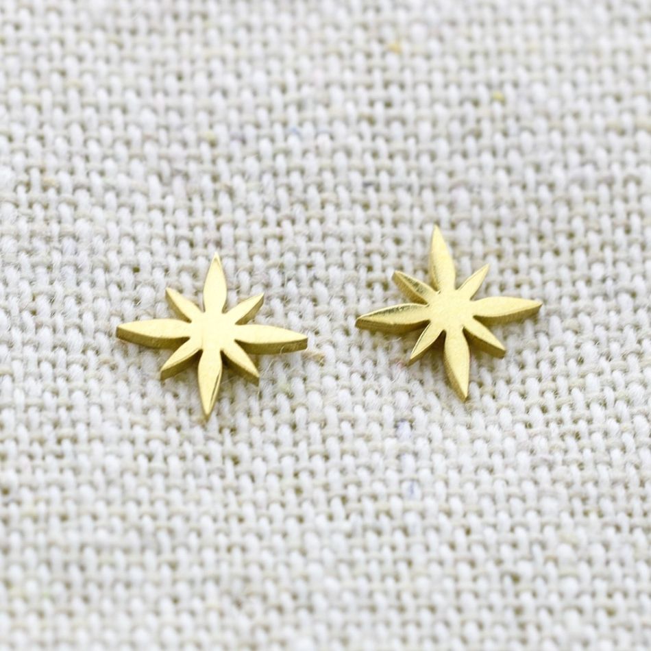 POLAR STAR STAINLESS STEEL EARRINGS