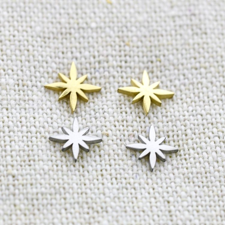 POLAR STAR STAINLESS STEEL EARRINGS 2
