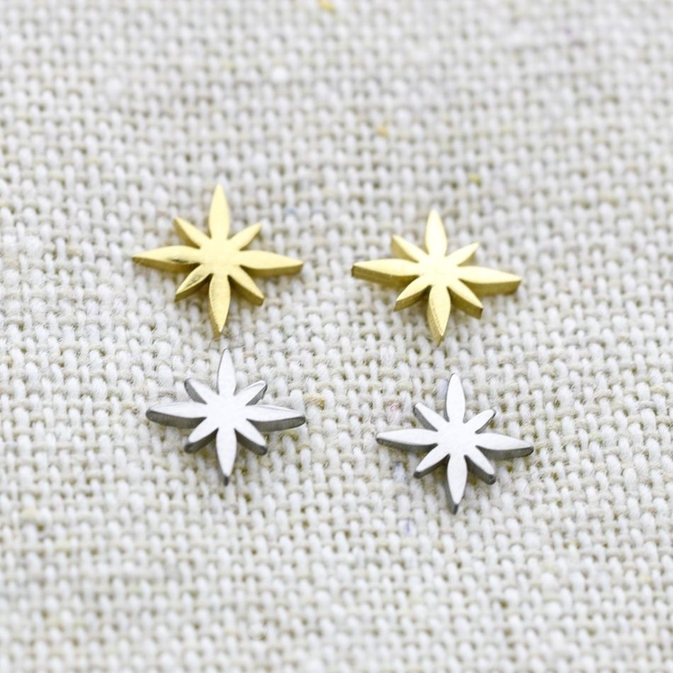 POLAR STAR STAINLESS STEEL EARRINGS