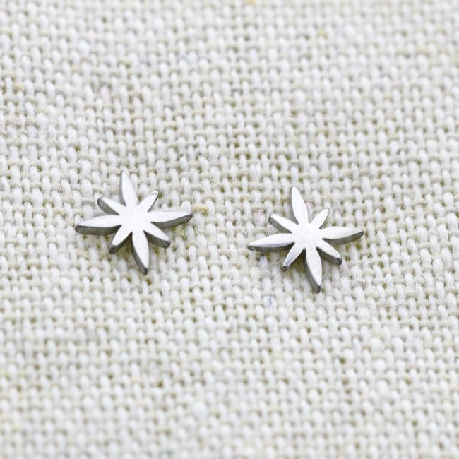 POLAR STAR STAINLESS STEEL EARRINGS