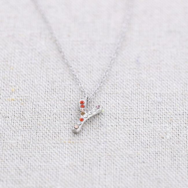 INITIAL SHORT NECKLACE AND STEEL CRYSTALS