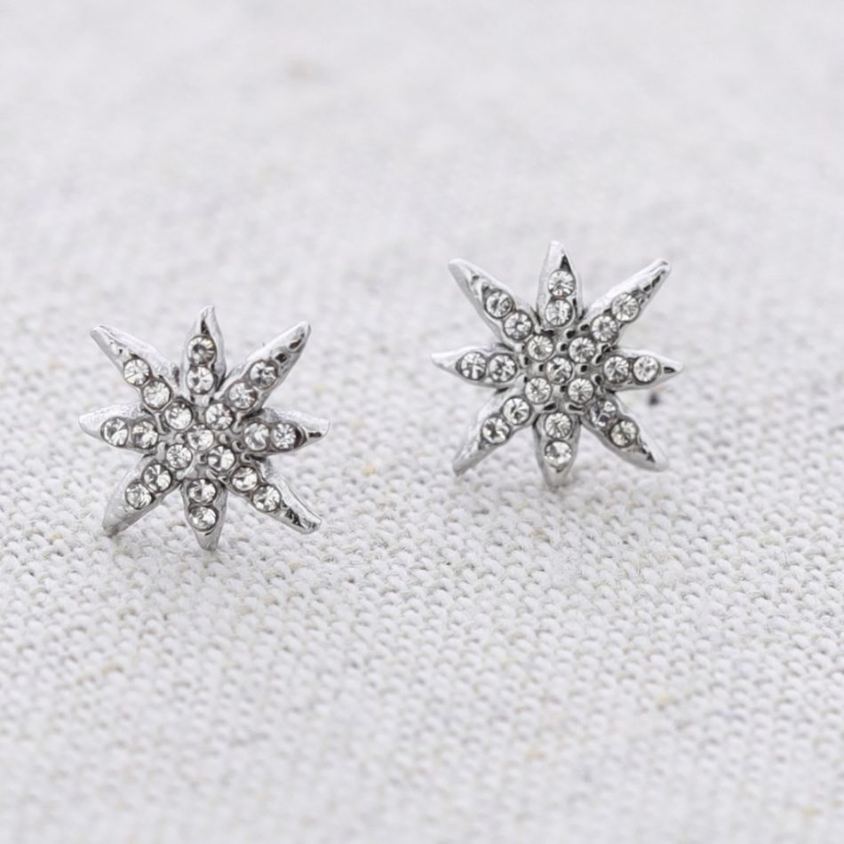 POLAR STAR STEEL EARRINGS WITH CRYSTALS