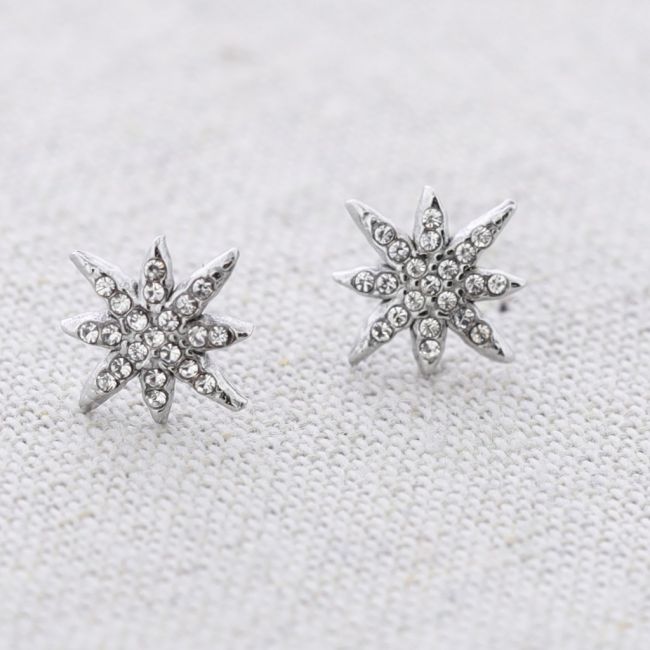 POLAR STAR STEEL EARRINGS WITH CRYSTALS