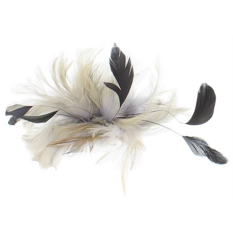 FEATHERS COMB