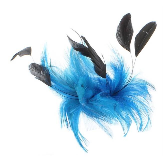 FEATHERS COMB
